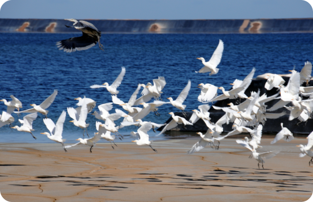 Comprehensive Wastewater Recycling–CNMC Luanshya Cop% Mines Plc. (CLM) built Zambia's safest and most environmentally-compliant tailings facility.